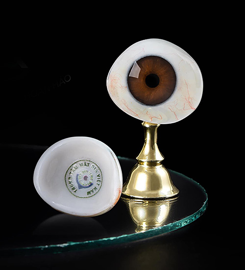 QUESTIONS & ANSWERS ABOUT 3D CUSTOM PROSTHETIC EYES
